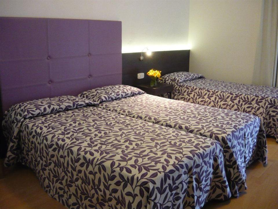 Hotel Lily